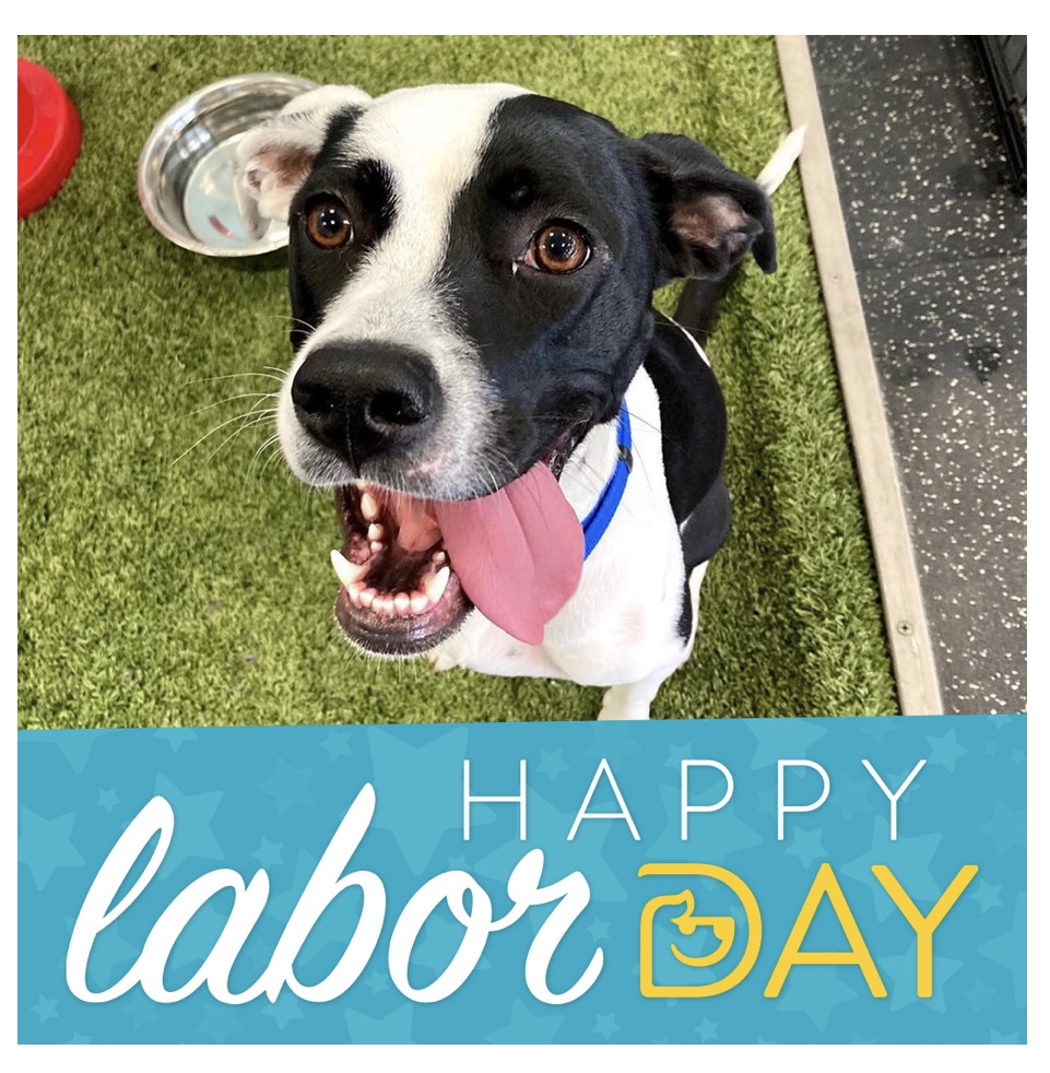 Happy Labor Day daycare closed La Grange