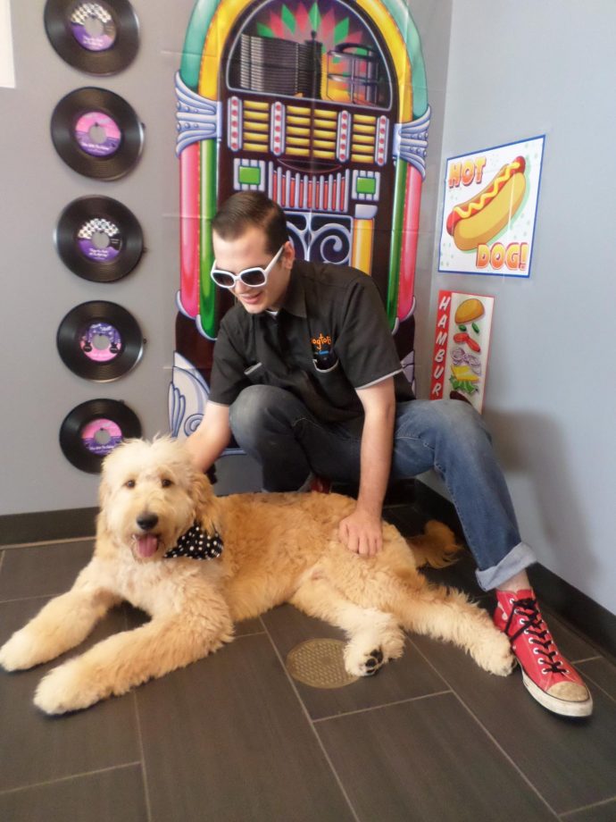 Dog Daycare, Spa, Boarding Westchase Dogtopia Westchase