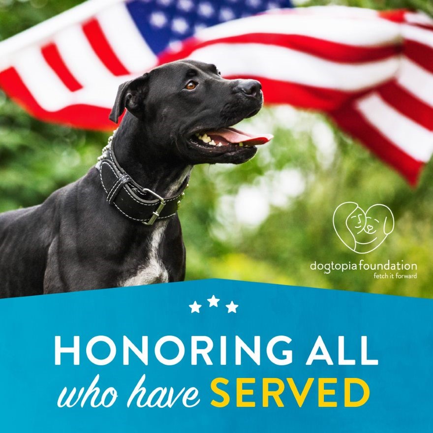 Memorial Day! Closed for Daycare and Boarding (pick up or drop off). Westchase