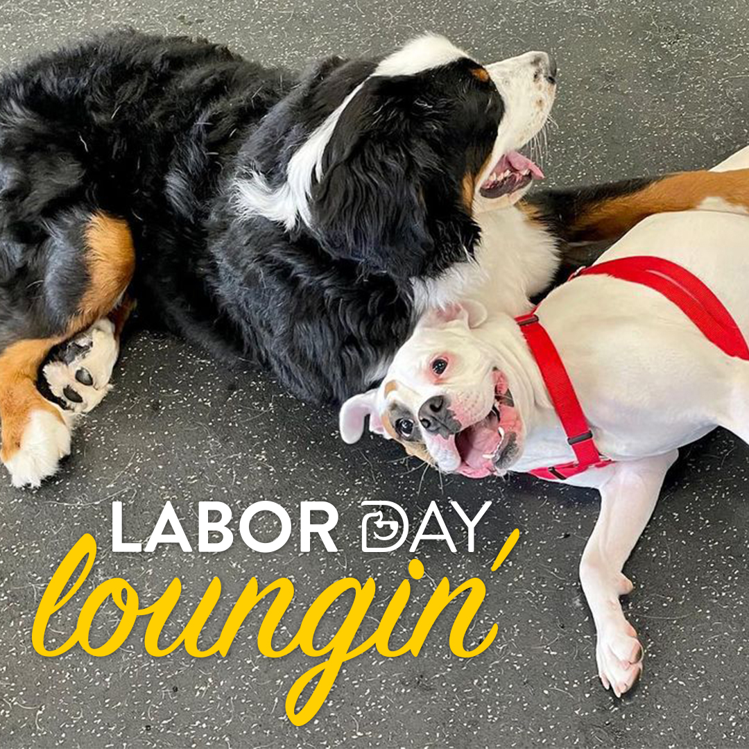 Labor Day Weekend 2022 Arcadia