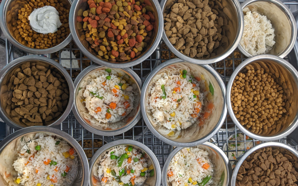 2 off Protein Bowls Northville