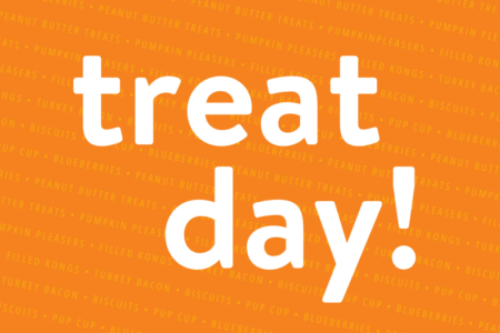 Apple and Peanut butter treat day for dogs