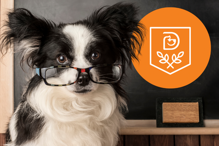 Teacher Appreciation Day - Downers Grove