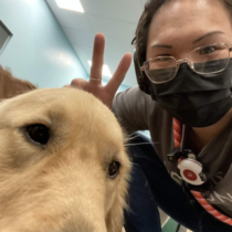 dog playroom attendant