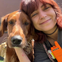 canine coach job at dogtopia
