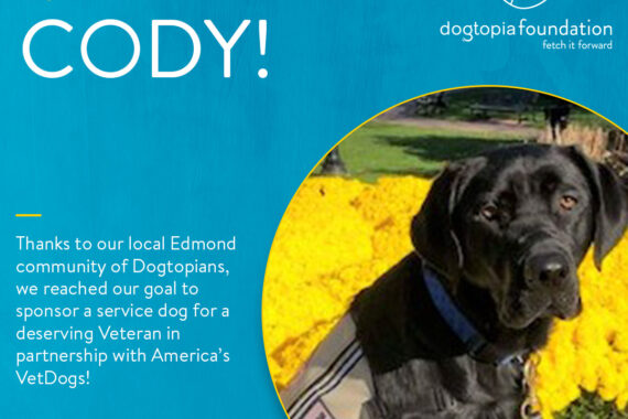 Cody America's Vet Dogs photo