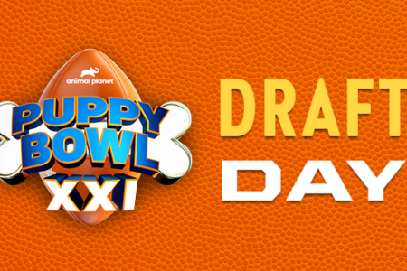 Football "Puppy Bowl XXl DRAFT DAy"