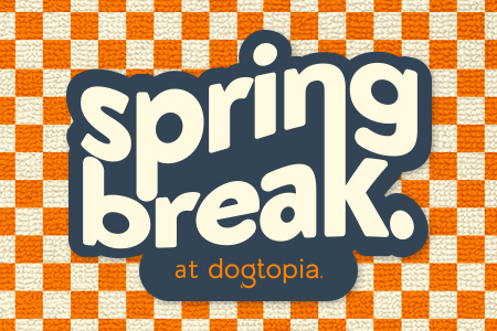 "Spring break at Dogtopia" text with orange and cream checkered background