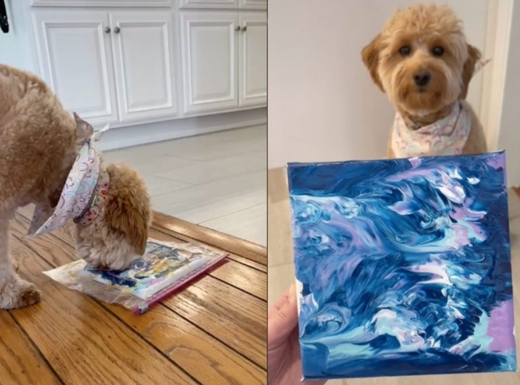 Pupcasso Peanut Butter Painting! The Woodlands North