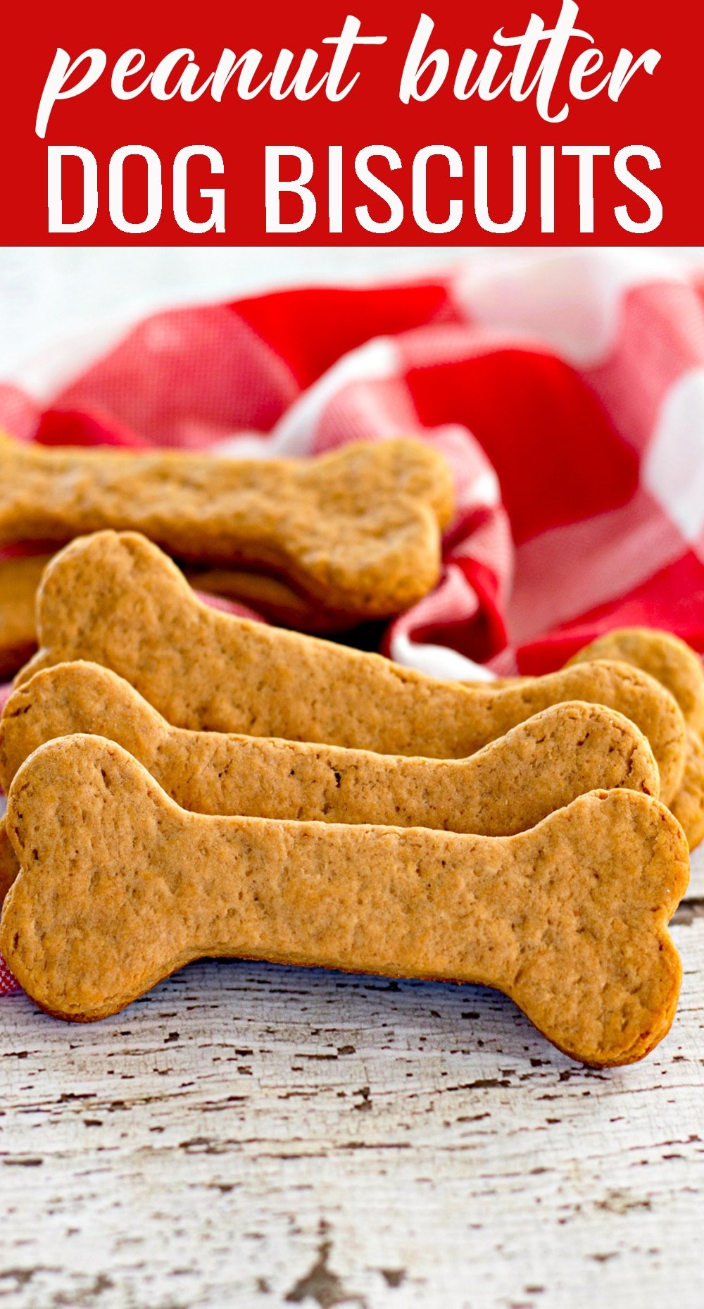 National Dog Biscuit Day! The Woodlands North