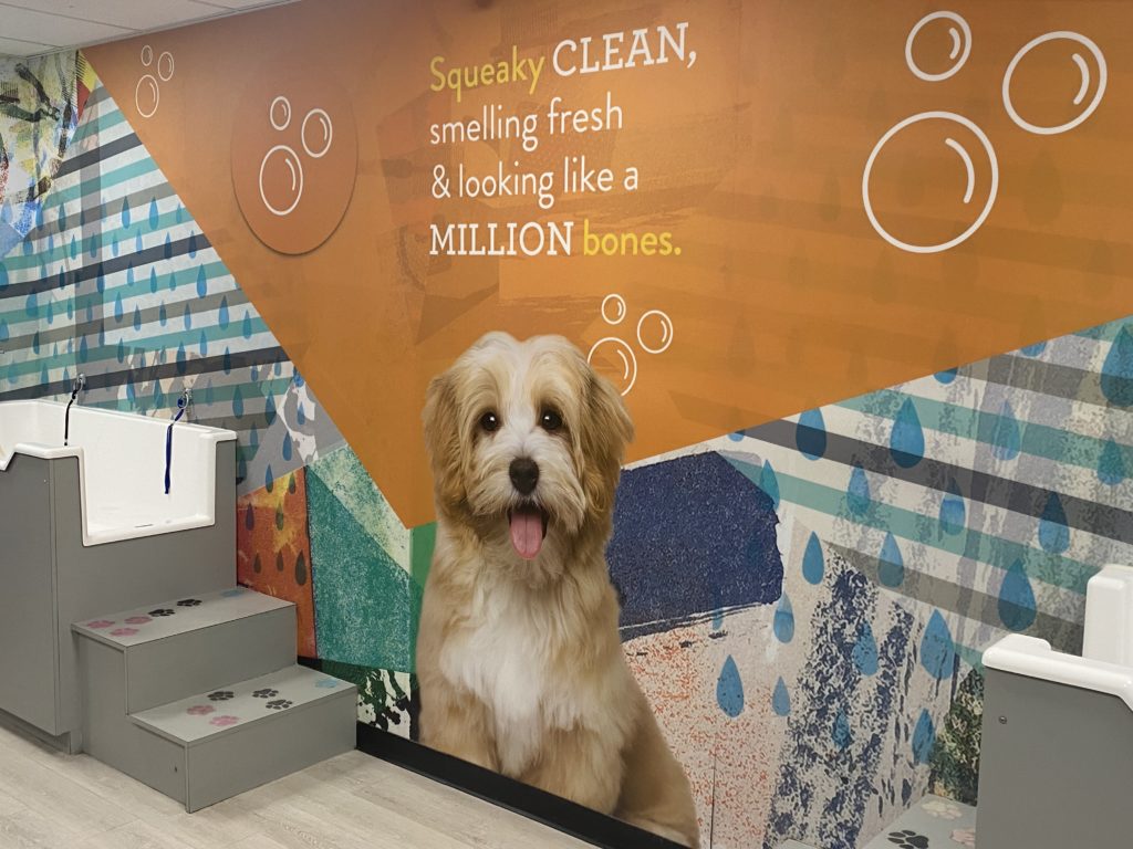 Dog Grooming - Fort Worth - City View