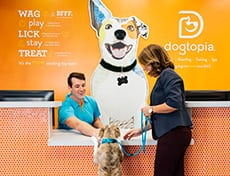 dog at front counter