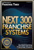 next 300 franchise systems logo