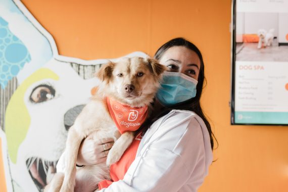 Woman inside Dogtopia lobby holding a dog wearing an orange Dogtopia bandana