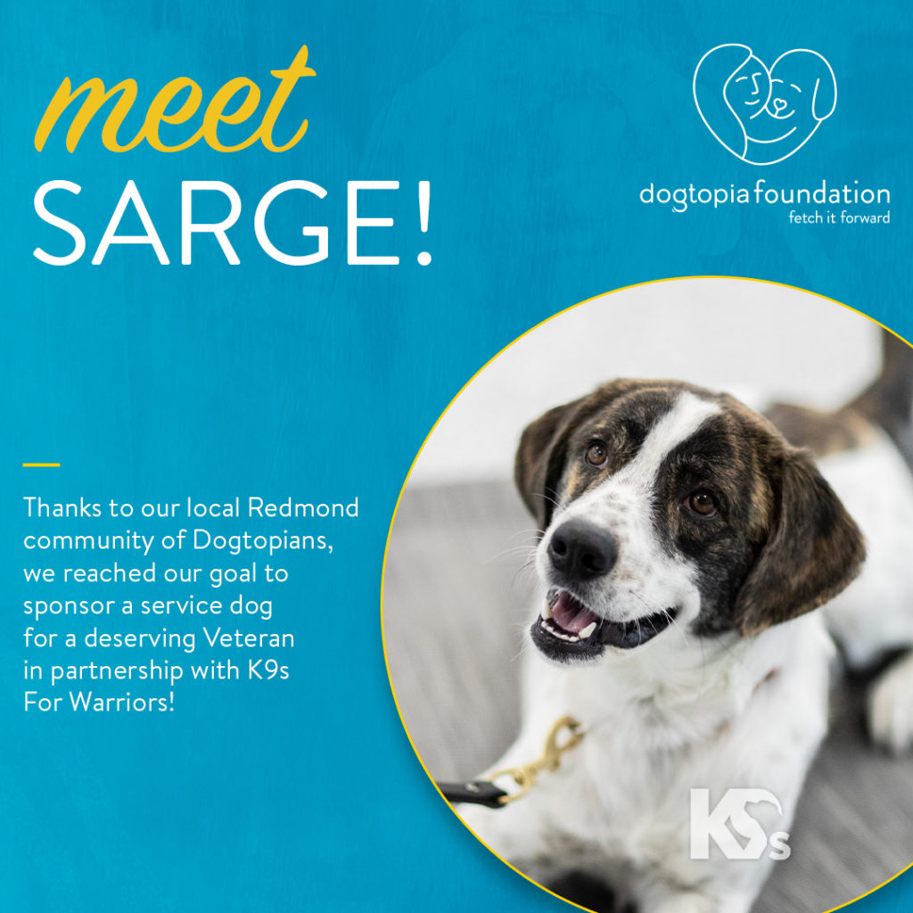 Very First Service Dog Service Dogs - Redmond