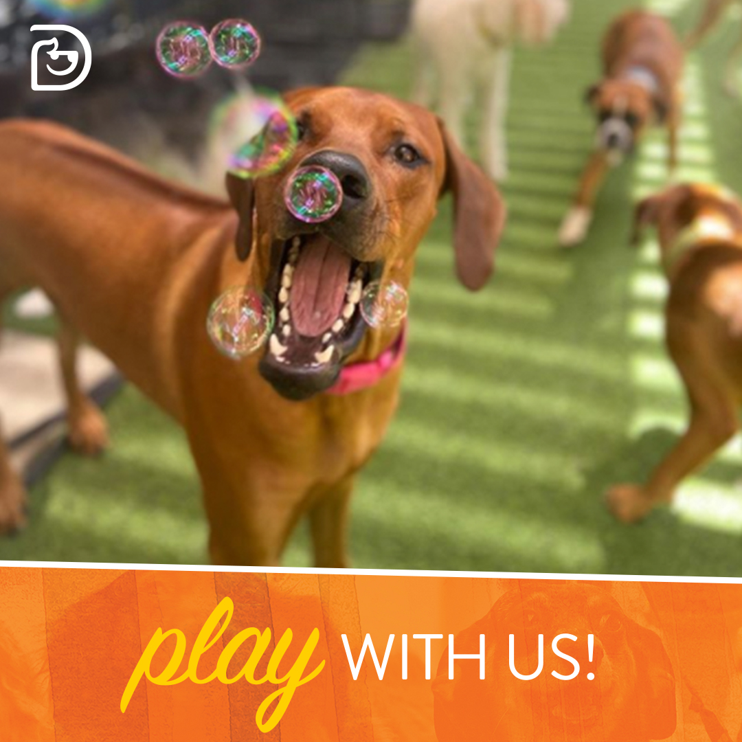 National Basketball Day! Frederick