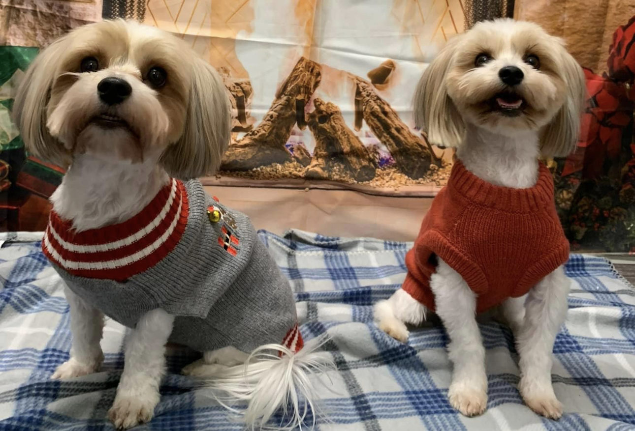 HOLIDAY HOURS Dallas Inwood