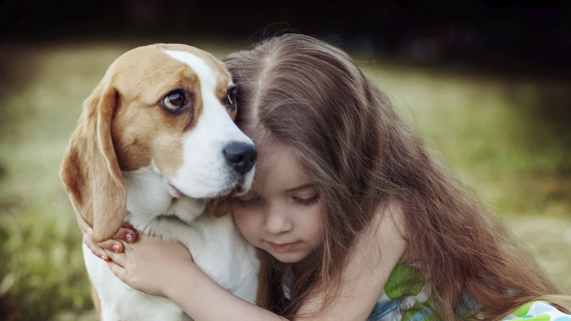 National Hug Your Hound Day - South Elgin