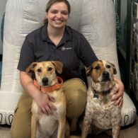 Store staff, regional manager, and her dogs