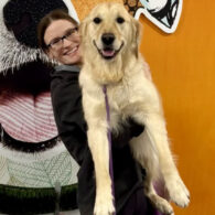 Dog Behavior List for Dogtopia Stork