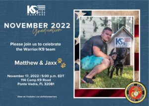 Wounded bedroom paired with service dog.