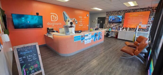 Owner walking in to Dogtopia of Ellisville reception desk.