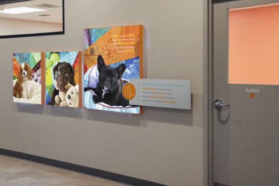 Hallway with a door leading to boarding suites at Dogtopia of Ashburn - Loudoun Station.