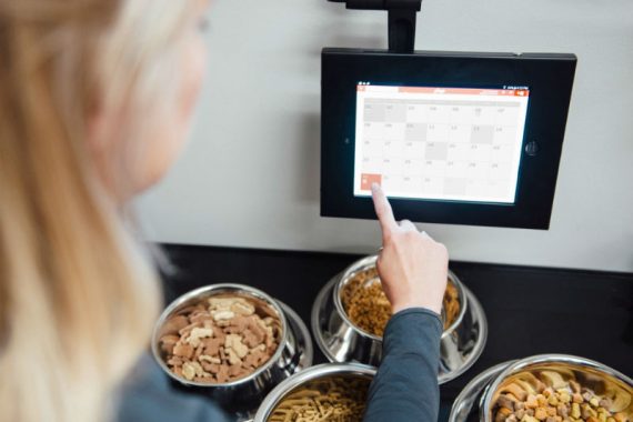 Dogtopia of Rock Hill staff member managing the dogs feeding schedule on the screen.
