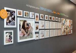 Certificates and dog pictures hanging on the wall at Dogtopia of Liberty Village.