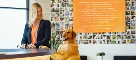 Owner and a dog standing in the lobby at Dogtopia of New Location.