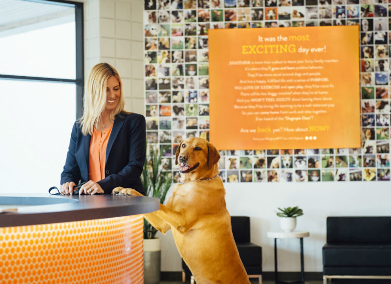 Owner and a dog standing in the lobby at Dogtopia of Tanque Verde.