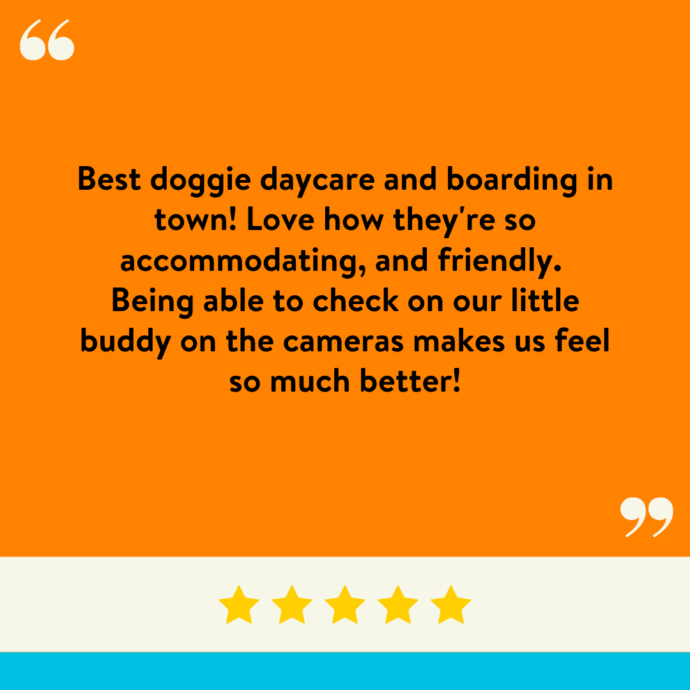 Best doggie daycare and boarding in town! Love how they're so accommodating, and friendly. Being able to check on our little buddy on the cameras makes us feel so much better!