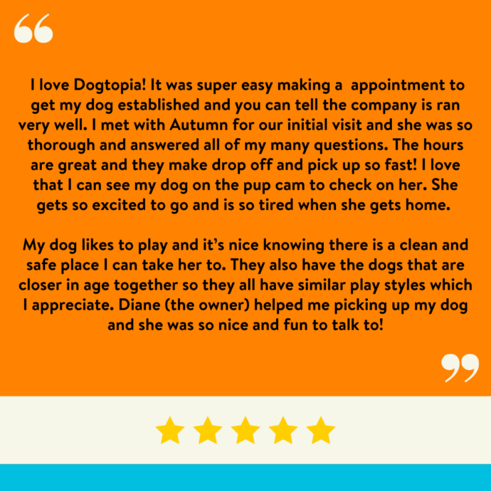 I love Dogtopia! It was super easy making a appointment to get my dog established and you can tell the company is ran very well. I met with Autumn for our initial visit and she was so thorough and answered all of my many questions. The hours are great and they make drop off and pick up so fast! I love that I can see my dog on the pup cam to check on her. She gets so excited to go and is so tired when she gets home. My dog likes to play and it’s nice knowing there is a clean and safe place I can take her to. They also have the dogs that are closer in age together so they all have similar play styles which I appreciate. Diane (the owner) helped me picking up my dog and she was so nice and fun to talk to!
