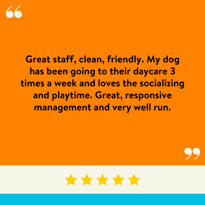 Great staff, clean, friendly. My dog has been going to their daycare 3 times a week and loves the socializing and playtime. Great, responsive management and very well run.