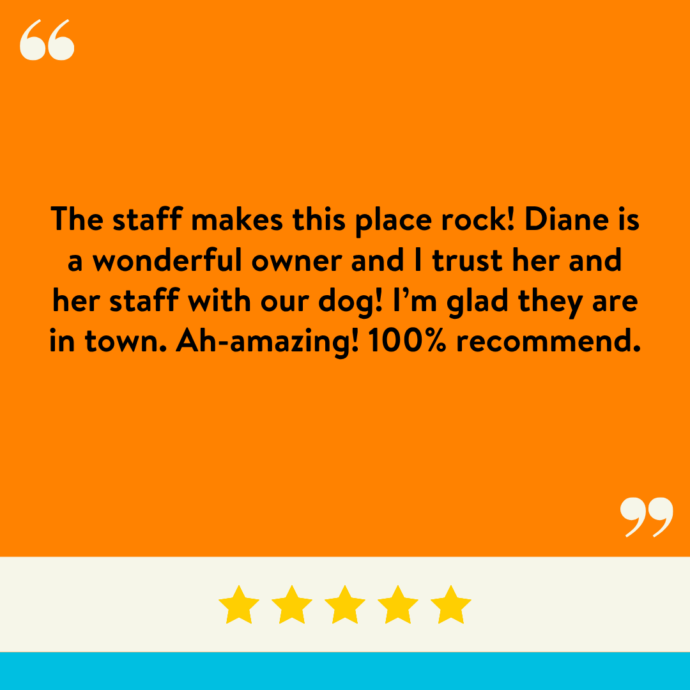 The staff makes this place rock! Diane is a wonderful owner and I trust her and her staff with our dog! I’m glad they are in town. Ah-amazing! 100% recommend.