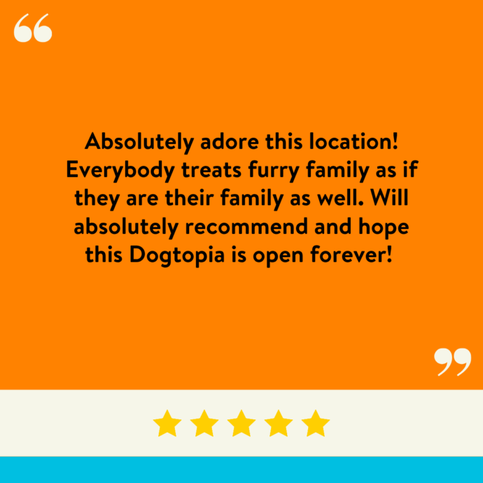 Absolutely adore this location! Everybody treats furry family as if they are their family as well. Will absolutely recommend and hope this Dogtopia is open forever!