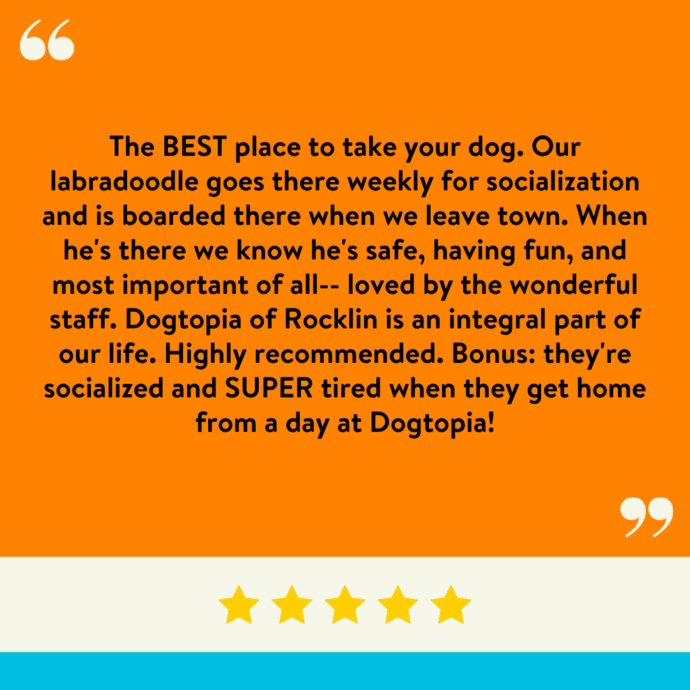 The BEST place to take your dog. Our labradoodle goes there weekly for socialization and is boarded there when we leave town. When he's there we know he's safe, having fun, and most important of all-- loved by the wonderful staff. Dogtopia of Rocklin is an integral part of our life. Highly recommended. Bonus: they're socialized and SUPER tired when they get home from a day at Dogtopia!