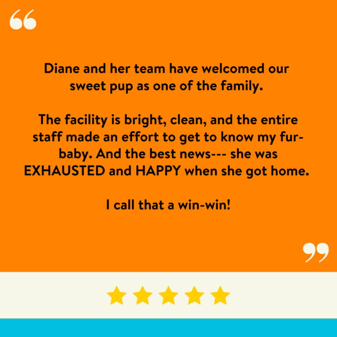 Diane and her team have welcomed our sweet pup as one of the family. The facility is bright, clean, and the entire staff made an effort to get to know my fur-baby. And the best news--- she was EXHAUSTED and HAPPY when she got home. I call that a win-win!