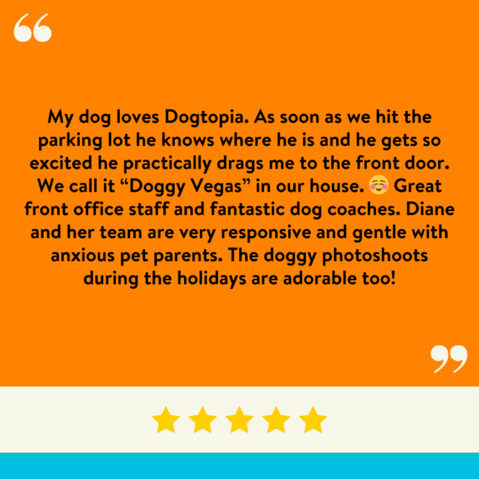 My dog loves Dogtopia. As soon as we hit the parking lot he knows where he is and he gets so excited he practically drags me to the front door. We call it “Doggy Vegas” in our house. Great front office staff and fantastic dog coaches. Diane and her team are very responsive and gentle with anxious pet parents. The doggy photoshoots during the holidays are adorable too!