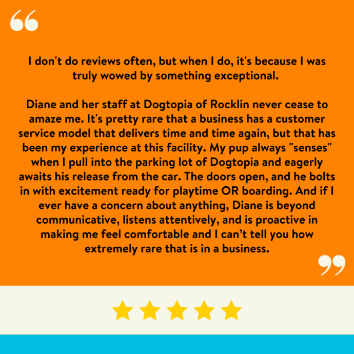 I don't do reviews often, but when I do, it's because I was truly wowed by something exceptional. Diane and her staff at Dogtopia of Rocklin never cease to amaze me. It's pretty rare that a business has a customer service model that delivers time and time again, but that has been my experience at this facility. My pup always 