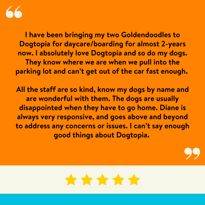 I have been bringing my two Goldendoodles to Dogtopia for daycare/boarding for almost 2-years now. I absolutely love Dogtopia and so do my dogs. They know where we are when we pull into the parking lot and can’t get out of the car fast enough. All the staff are so kind, know my dogs by name and are wonderful with them. The dogs are usually disappointed when they have to go home. Diane is always very responsive, and goes above and beyond to address any concerns or issues. I can’t say enough good things about Dogtopia.