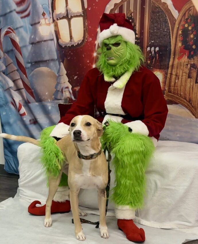 A dog with the Grinch during a holiday photoshoot at Dogtopia of Rocklin