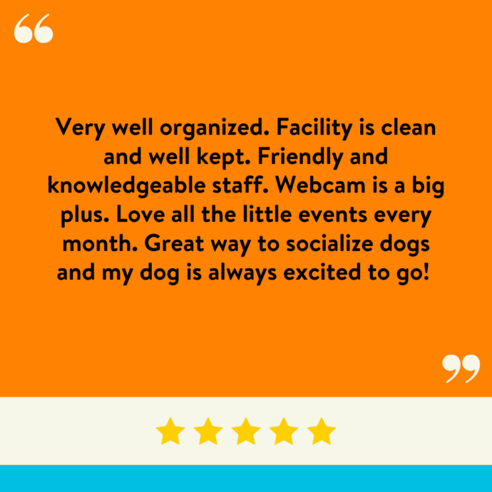 Very well organized. Facility is clean and well kept. Friendly and knowledgeable staff. Webcam is a big plus. Love all the little events every month. Great way to socialize dogs and my dog is always excited to go!