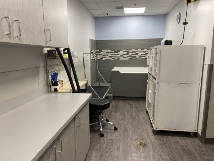 Dogtopia of Rocklin's spa room with spa baths for dogs