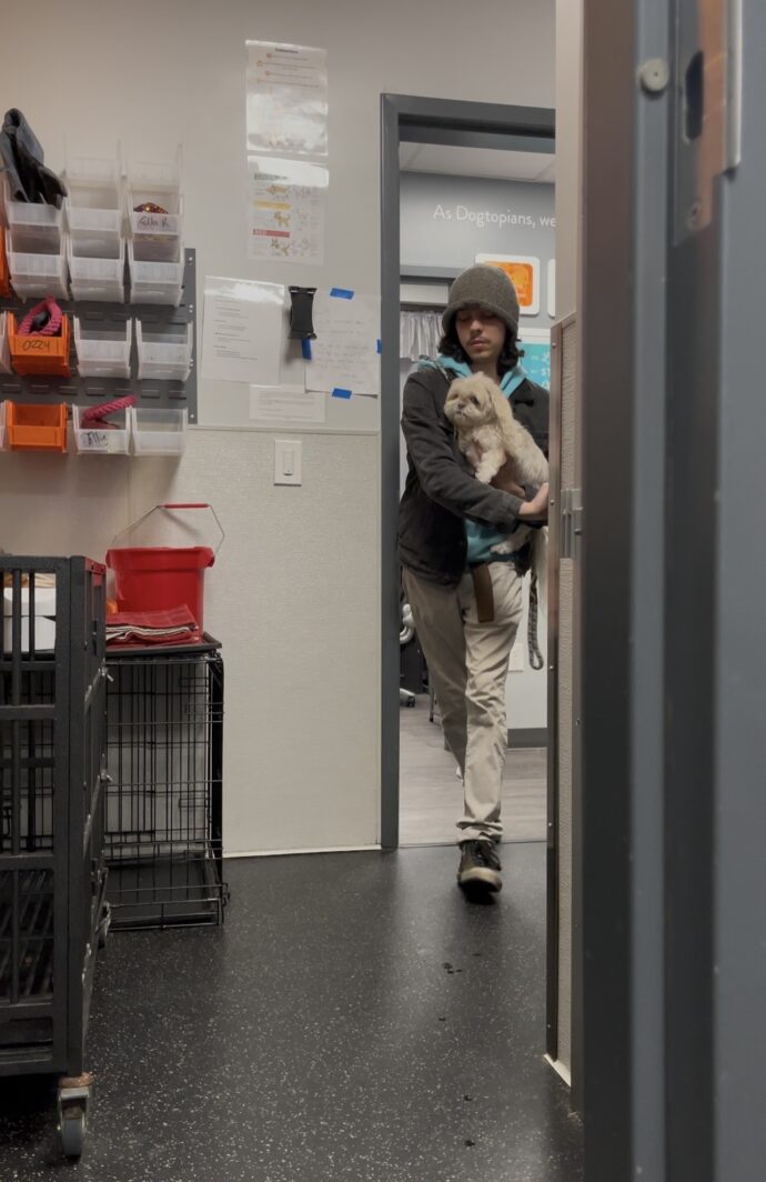 A Canine Coach at Dogtopia of Rocklin bringing a dog into daycare