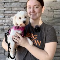 Sophia at Dogtopia of Rocklin and their dog.