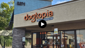 Exterior of Dogtopia of Rocklin