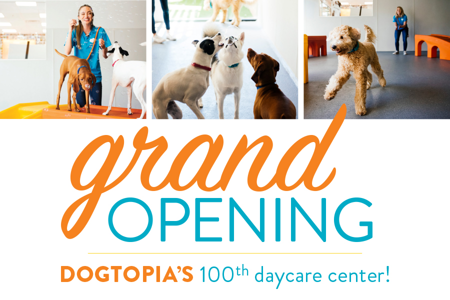Dogtopia's 100th Store Grand Opening Celebration Deer Park
