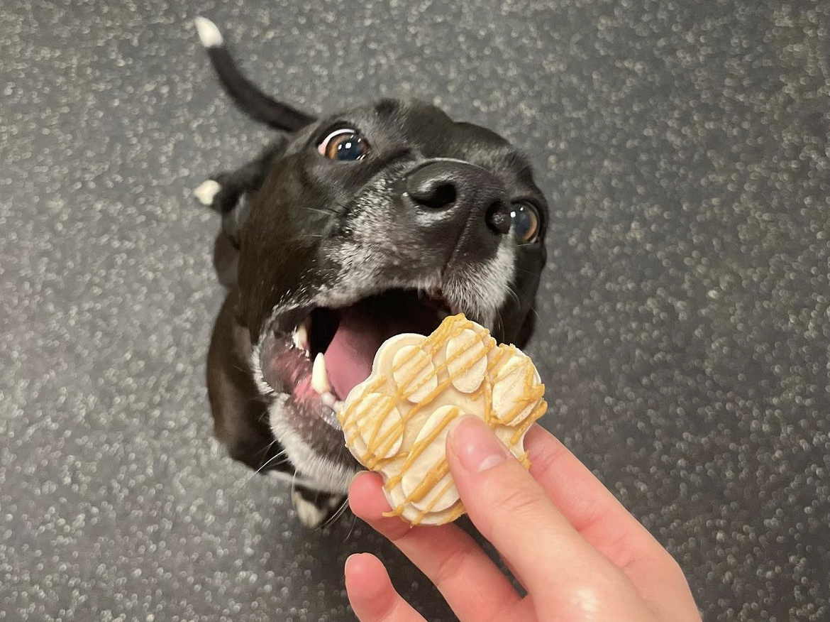 National Frozen Yogurt Day! ColumbusDublin
