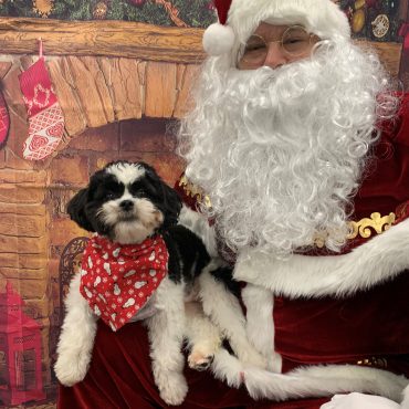 Pictures with Santa! - Haywood Road